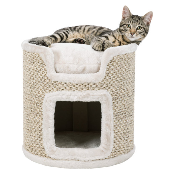 Archie & Oscar™ 15" Gladstone Cat Condo & Reviews Wayfair